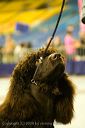 20081130-iwsac-0253