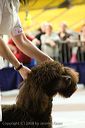 20081130-iwsac-0258