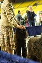 20081130-iwsac-0259