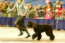 20081130-iwsac-0272