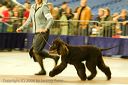 20081130-iwsac-0273