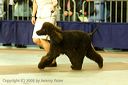 20081130-iwsac-0283