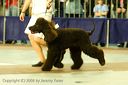 20081130-iwsac-0285