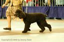 20081130-iwsac-0289