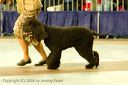 20081130-iwsac-0290