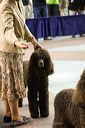 20081130-iwsac-0296