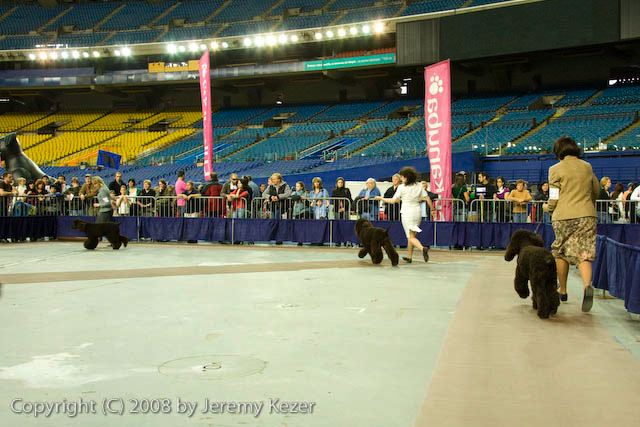 20081130-iwsac-0260.jpg