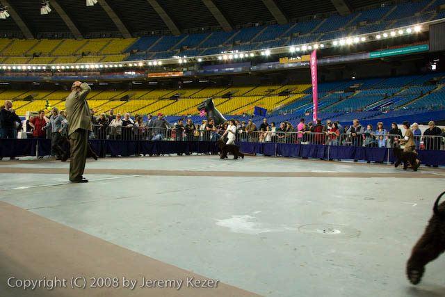 20081130-iwsac-0261.jpg