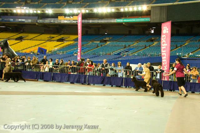 20081130-iwsac-0263.jpg