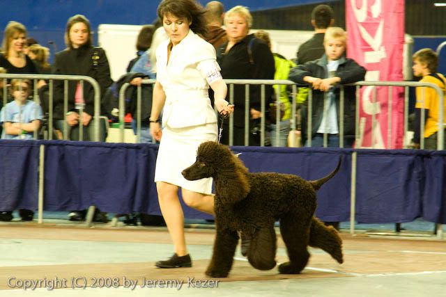 20081130-iwsac-0281.jpg