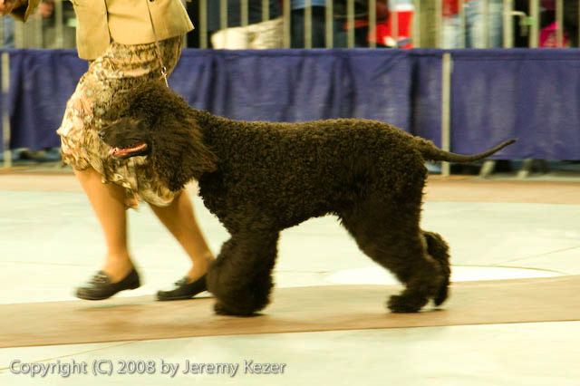 20081130-iwsac-0290.jpg