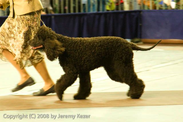 20081130-iwsac-0294.jpg