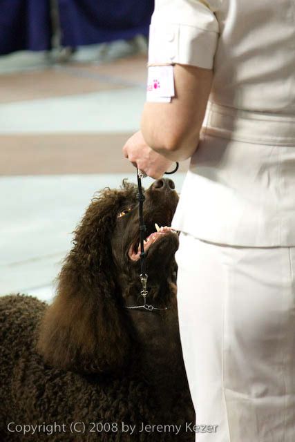 20081130-iwsac-0295.jpg