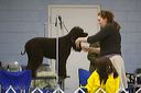20090301-0022