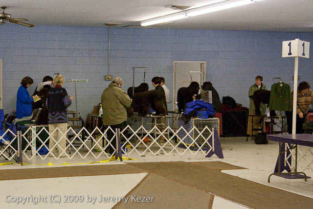 20090228-0004.jpg